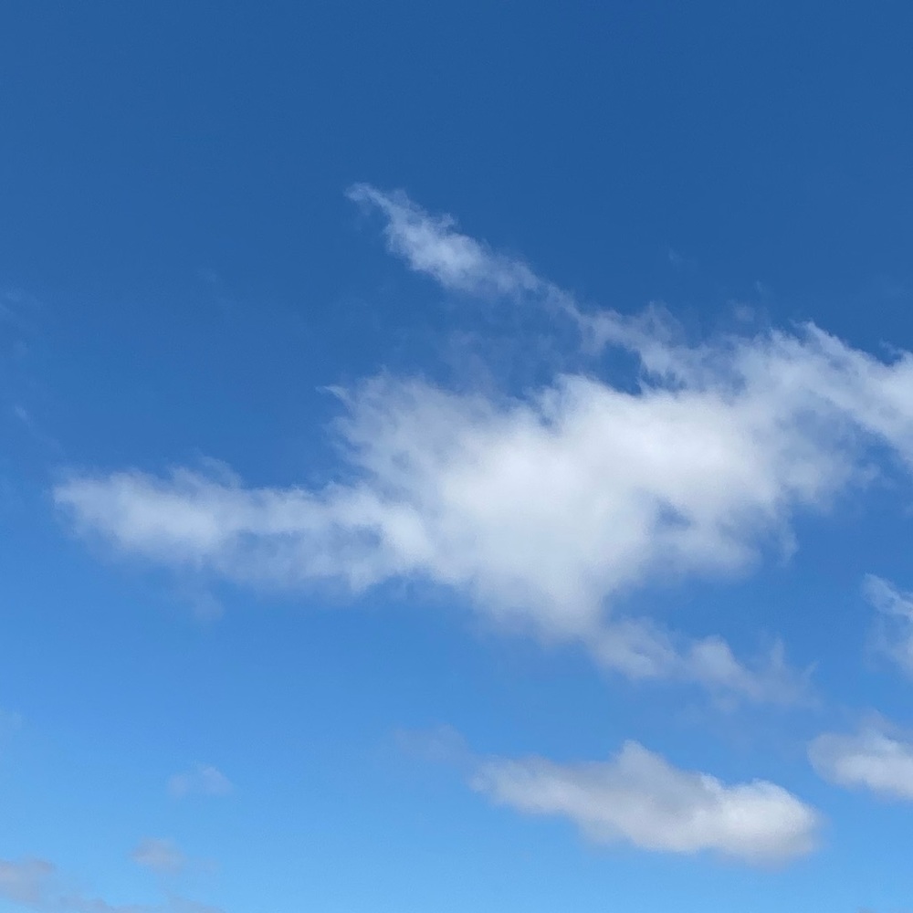 Meet your Posher, Meg